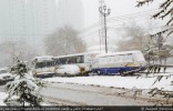 CHABAROVSK: 23.10. 12°C, 25.10. 30 CM SNĚHU