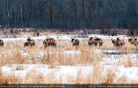 NP ELK ISLAND PŘESNĚ PO ROCE OPĚT SLEVIL NA -8°C