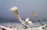 ISPARTA V PÁTEK ZAMÍŘILA K -5°C