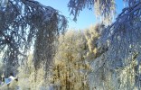 ÚTERNÍ JITRO, TOŤ PRVNÍ POLETNÍ PROŽITEK -47 °C